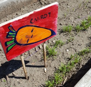 CarrotSign